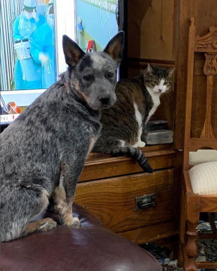 Watching the news with my buddy