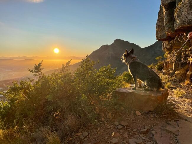 Summit - Gerca boy living in Cape Town