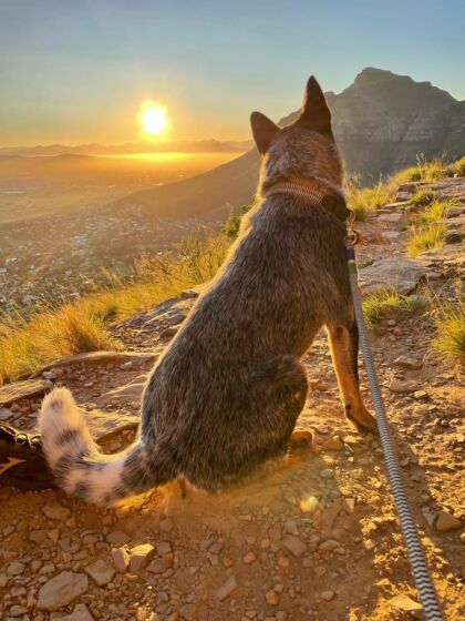 Summit - Gerca boy living in Cape Town