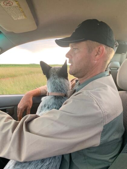 The ideal place for a cattle dog