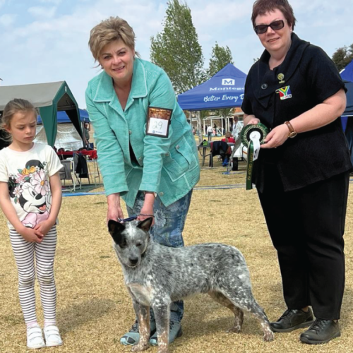 Jimba winning best herding puppy